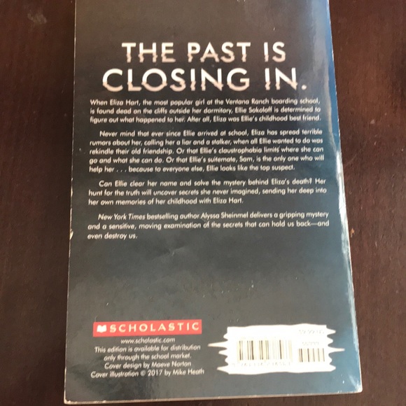 Book Bundle Girls 11-14 Aylessa Sheinmel - Picture 6 of 8